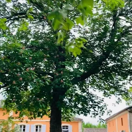 Petit Perle