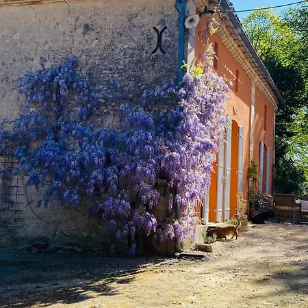 Petit Perle Saint-Ciers-sur-Gironde